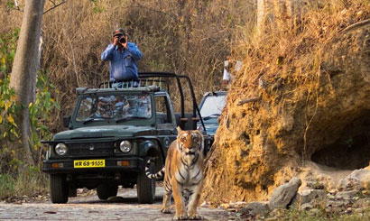 Tourists enjoying wildlife sighting during Bijrani Zone Jeep Safari in Corbett