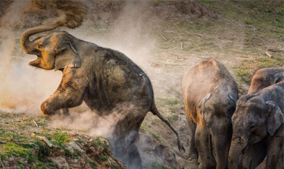 Affordable Corbett Budget Tour Package for Families