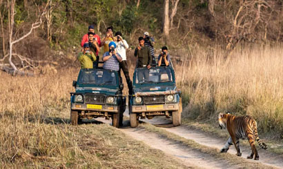Dhikala Tiger Tracking Safari in Jim Corbett National Park