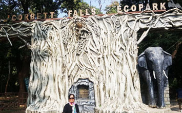 Corbett Falls Eco Park – Nature walk and picnic spot in Corbett